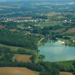 Fauvette - Tg2186 *