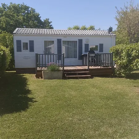 Fauvette - Tg2186 Molières