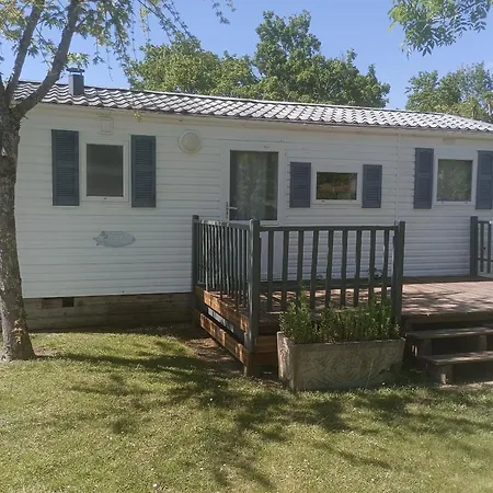 Fauvette - Tg2186 Molières