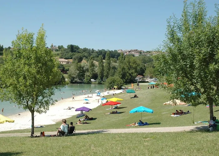 Fauvette - Tg2186 * Molières